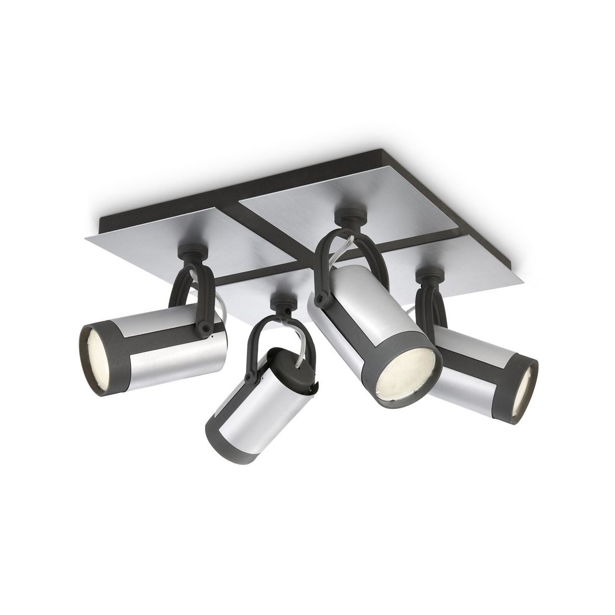 Spot / reflektor Philips MyLiving STRECH 55684/48/16