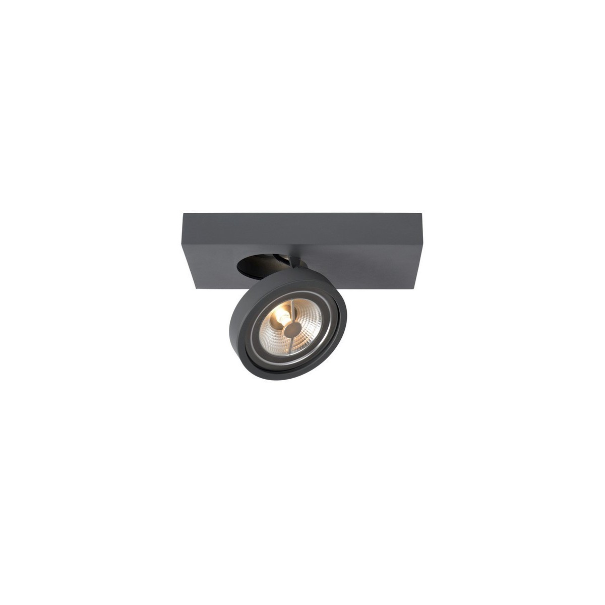 Spot / reflektor Lucide NENARD AR111 09920/10/36