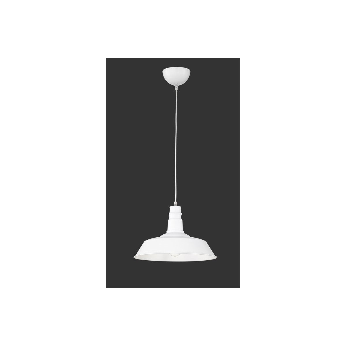 Nowoczesna lampa wisząca RL WILL R30421001