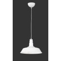 Nowoczesna lampa wisząca RL WILL R30421001