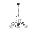 Nowoczesna lampa wisząca Trio TRADITIO 110700328