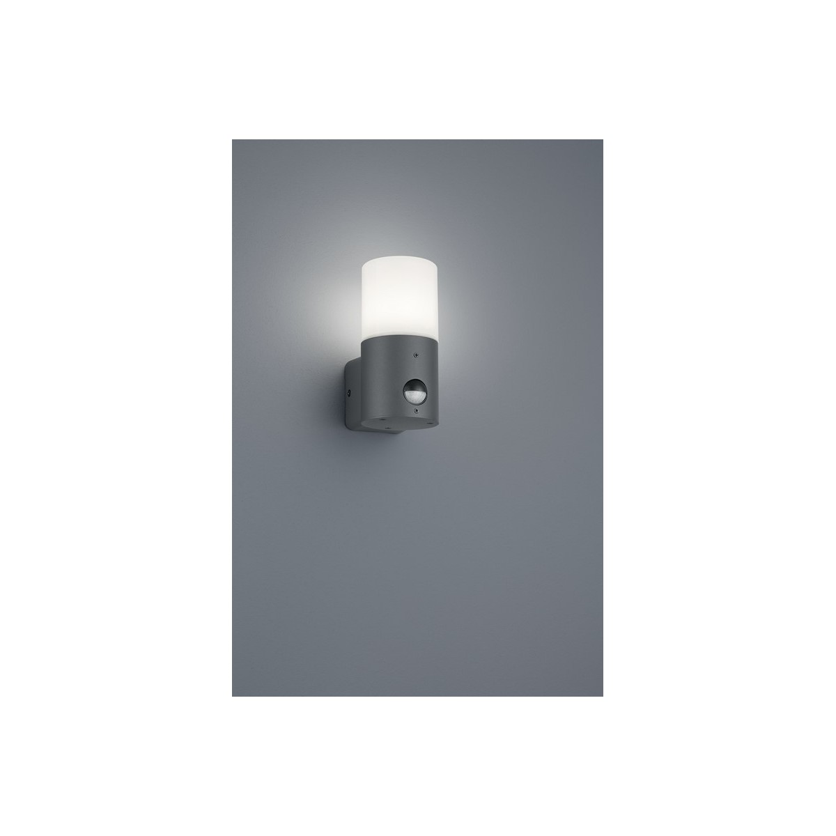 Kinkiet ogrodowy Trio HOOSIC 222260142