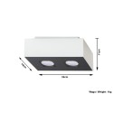 SOLLUX LIGHTING MONO 2 - SL.0067 - plafon