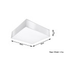 SOLLUX LIGHTING HORUS 35 - SL.0138 - plafon