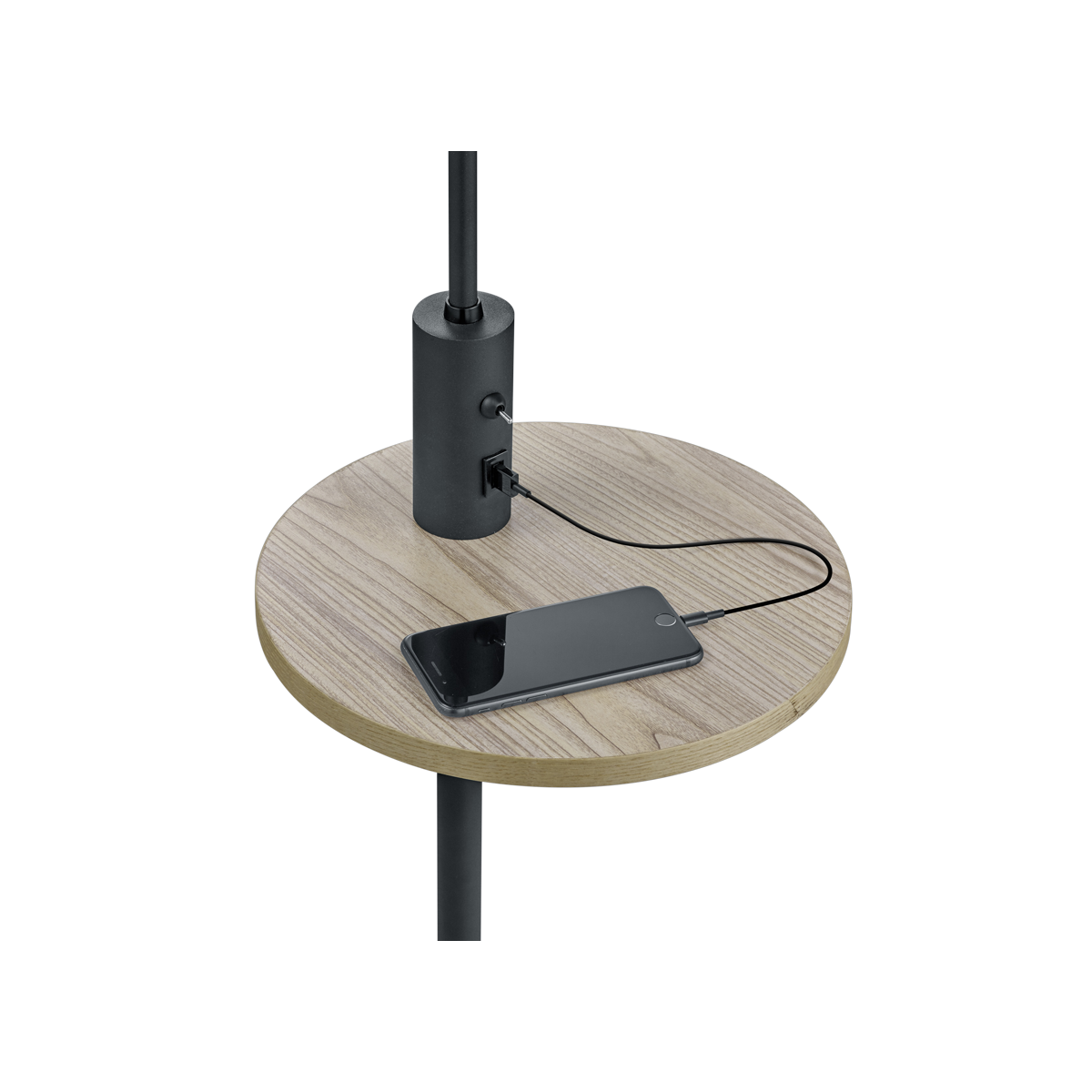 Lampa podłogowa Trio CLAAS 400400132