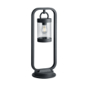 Lampa ogrodowa Trio SAMBESI 504160142