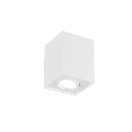 Nowoczesne oświetlenie sufitowe Trio BISCUIT 613000131