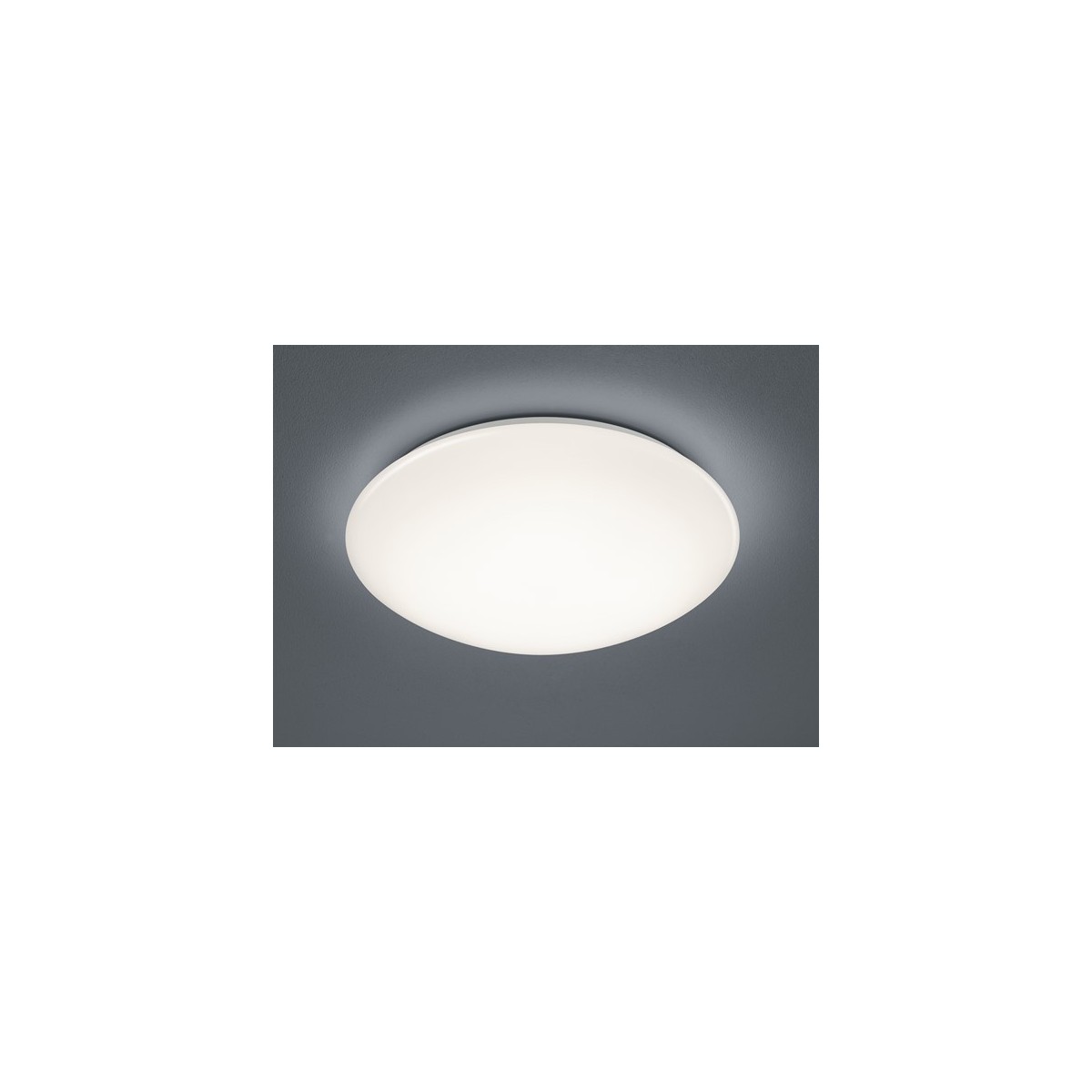Lampa do łazienki RL POLLUX R67839101