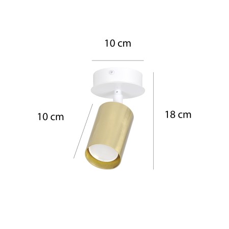biała - metalowa lampa przysufitowa Emibig ZEN 1 WHITE 623/1