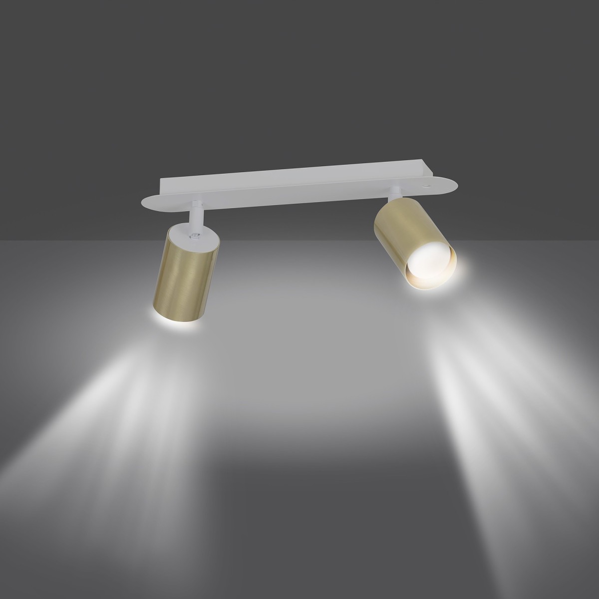 biała - metalowa lampa przysufitowa Emibig ZEN 2 WHITE 623/2