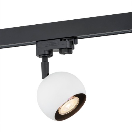 Argon MURI 4377
