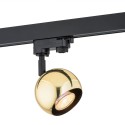 Argon MURI 4378