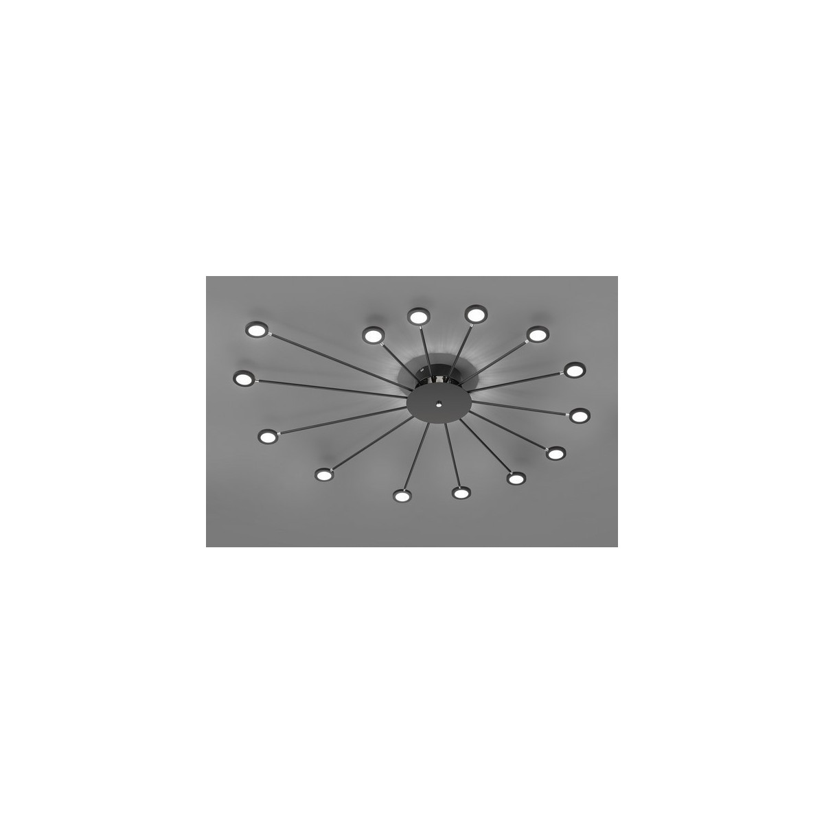 Trio PEACOCK 679511532