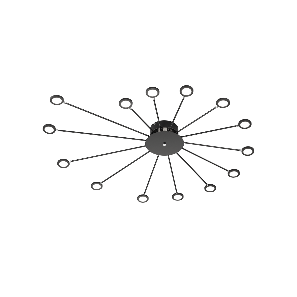 Trio PEACOCK 679511532