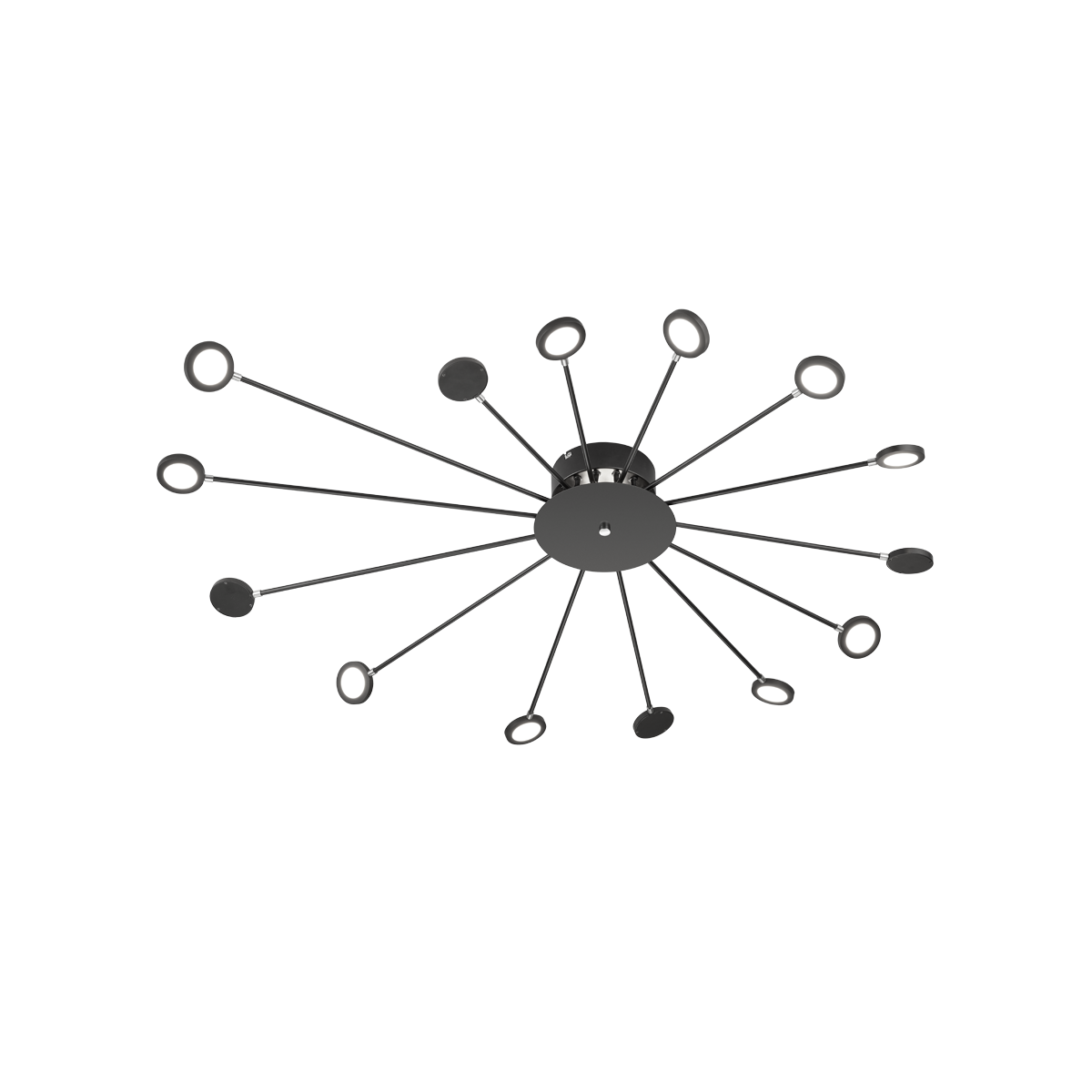 Trio PEACOCK 679511532