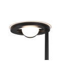 Lampa podłogowa Trio BARRIE 424210332