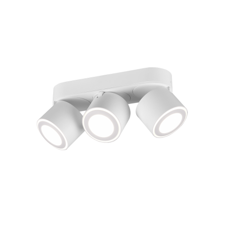 Nowoczesne oświetlenie sufitowe Trio TAURUS 652910331