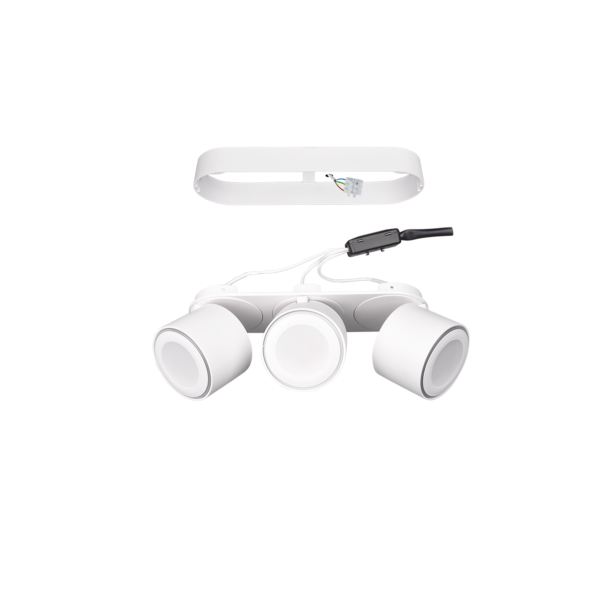 Nowoczesne oświetlenie sufitowe Trio TAURUS 652910331