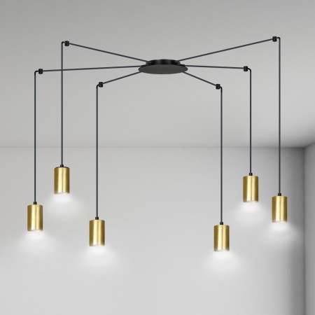Emibig TRAKER 6 BL/GOLD EM526/6