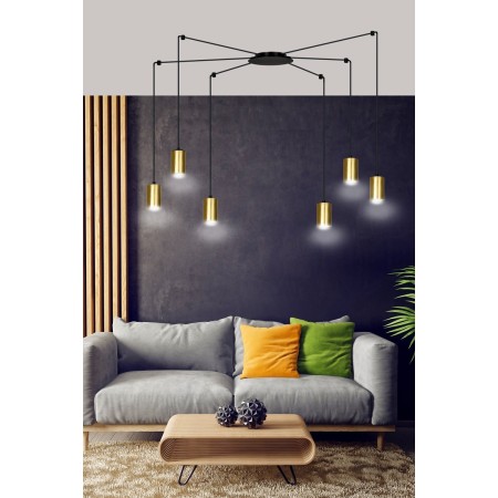 Emibig TRAKER 6 BL/GOLD EM526/6