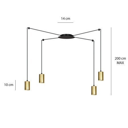 Emibig TRAKER 4 BL/GOLD EM526/4
