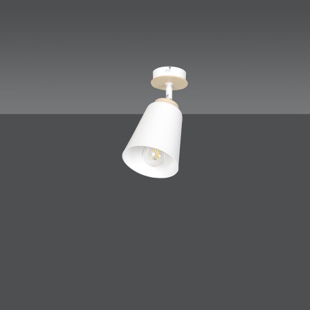 biała lampa przysufitowa Emibig ATLAS 1 WHITE  EM724/1