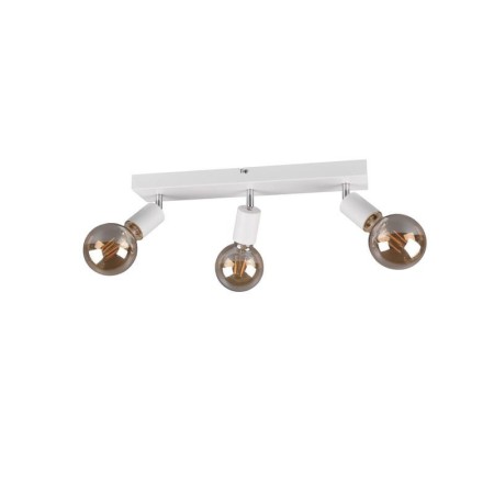 RL VANNES R80183031