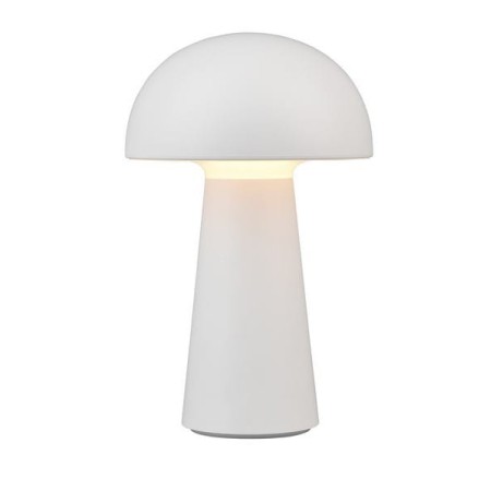 Nowoczesna lampa ogrodowa RL LENNON R52176101