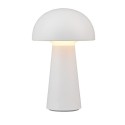 Nowoczesna lampa ogrodowa RL LENNON R52176101