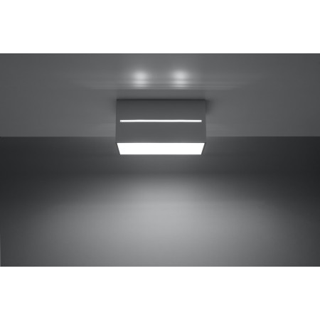 SOLLUX LIGHTING LOBO MAXI