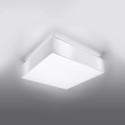 SOLLUX LIGHTING HORUS 55 white