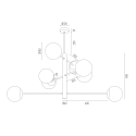 ARGON CAMERON 5041