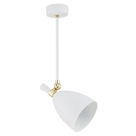 ARGON CHARLOTTE 4684