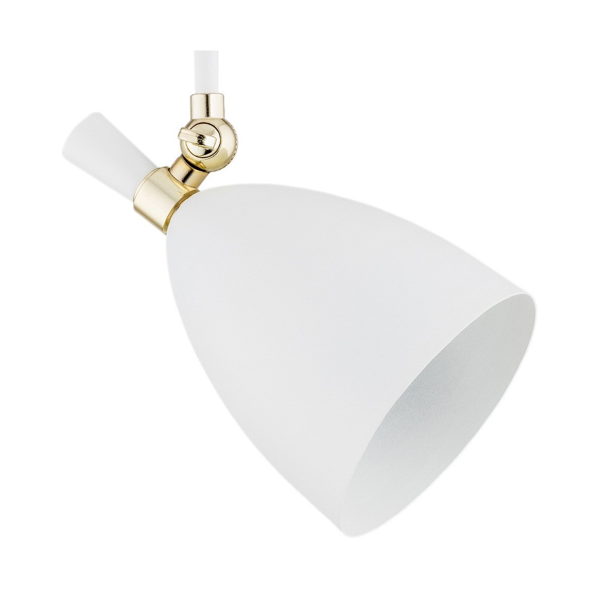 ARGON CHARLOTTE 4684