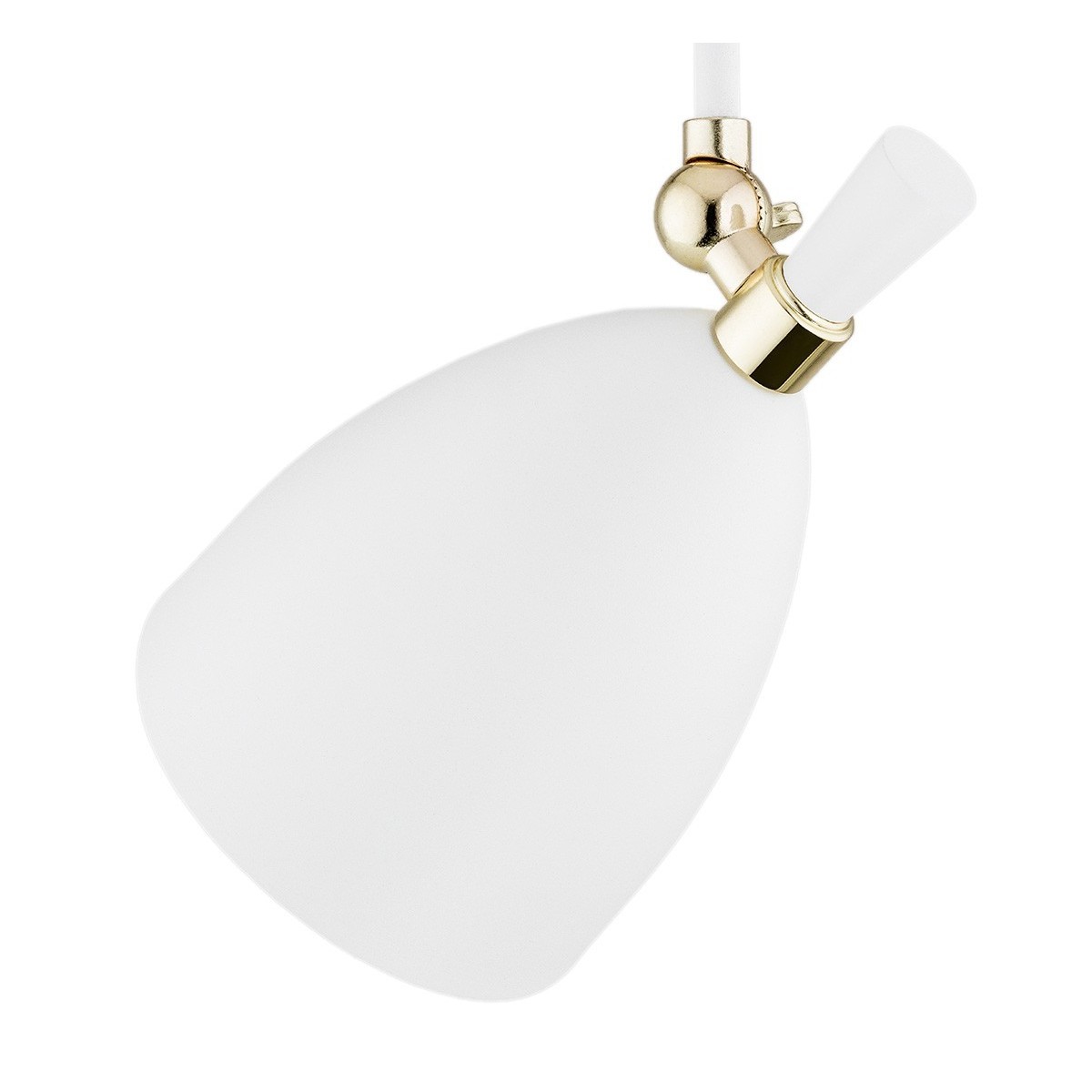 ARGON CHARLOTTE 4684