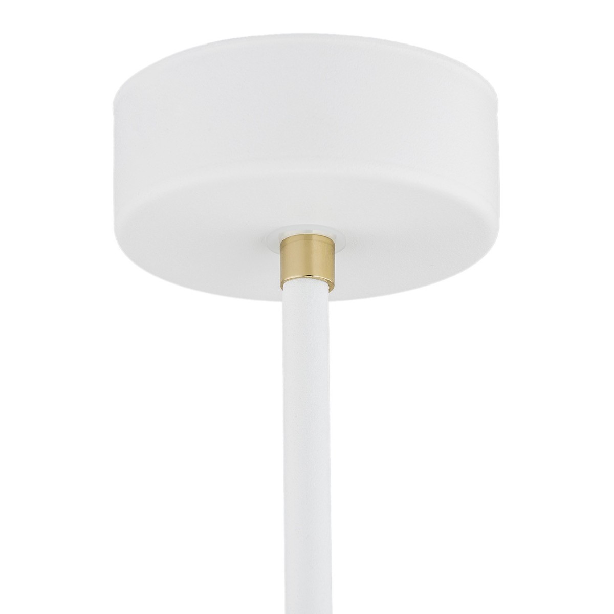 ARGON CHARLOTTE 4684