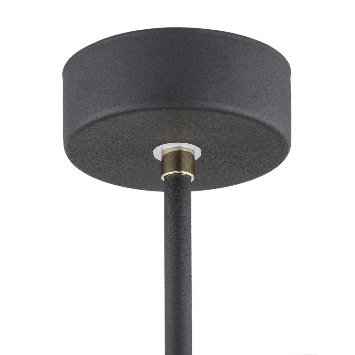 ARGON CHARLOTTE 4686