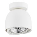 ARGON GARLAND 4710