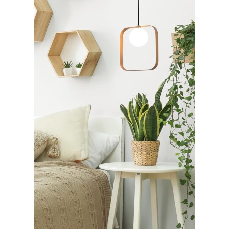 Candellux LAMPA 50101073 1xG9 - 3000K