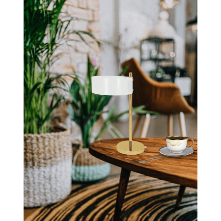 Elem ANTILA DRS8006/1D TR GL 1xE27 60W