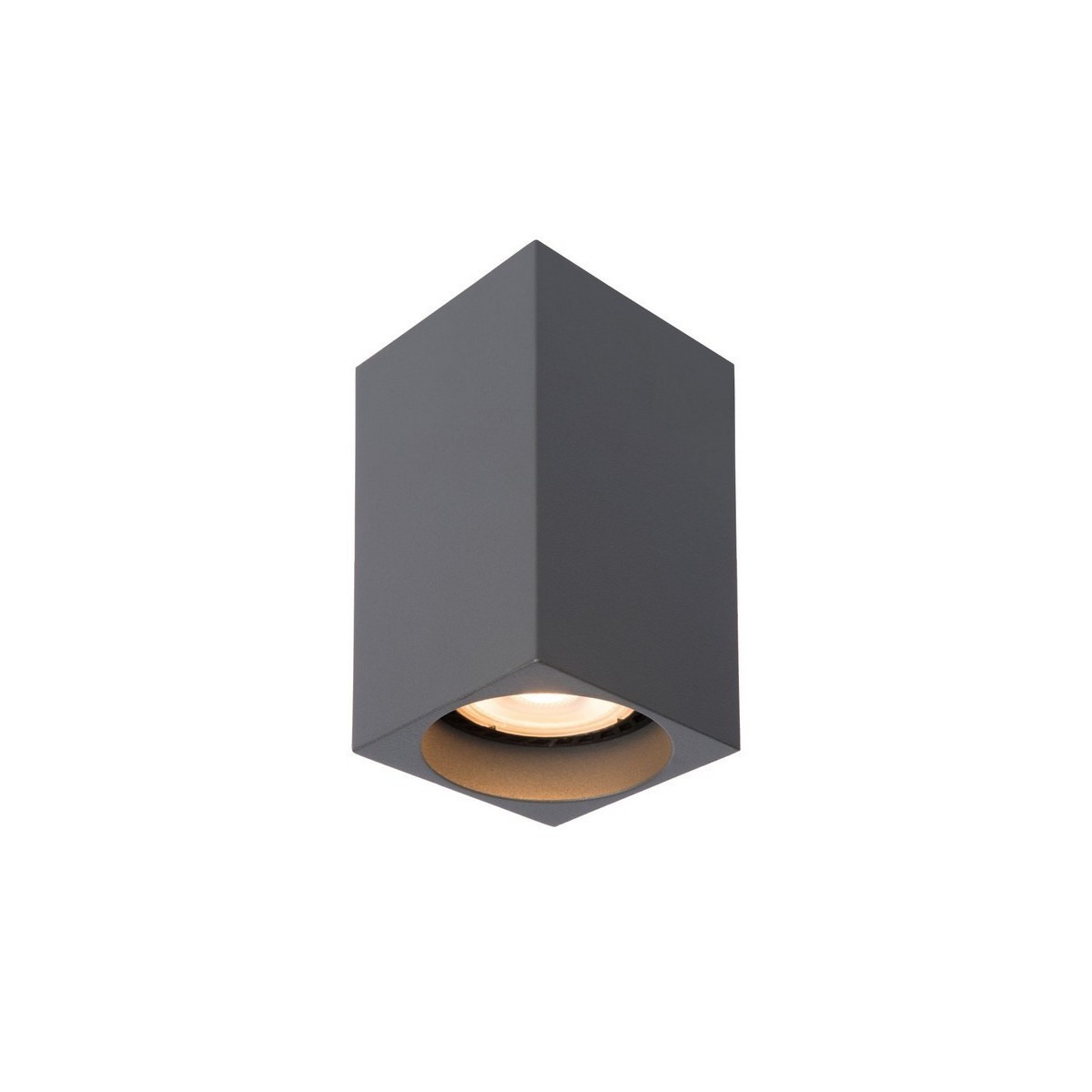 Lucide 09916/06/36 DELTO - Reflektor sufitowy - LED Ściemnialny do ciepłego - GU10 - 1x5W 2200K-3000K - Szary