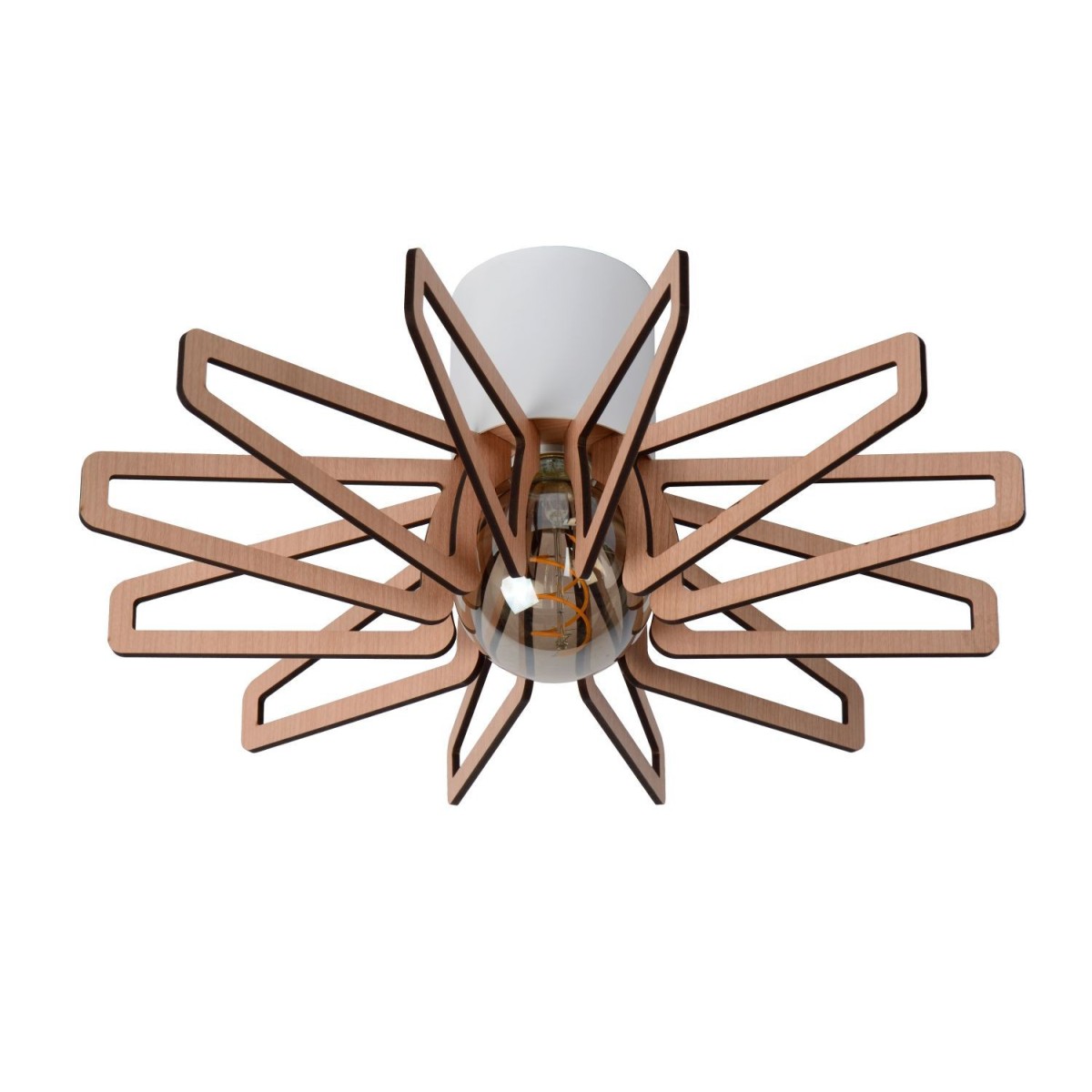 Lucide ZIDANE 77184/45/31