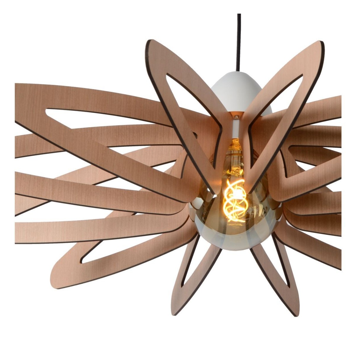 Lucide ZIDANE 77483/76/31