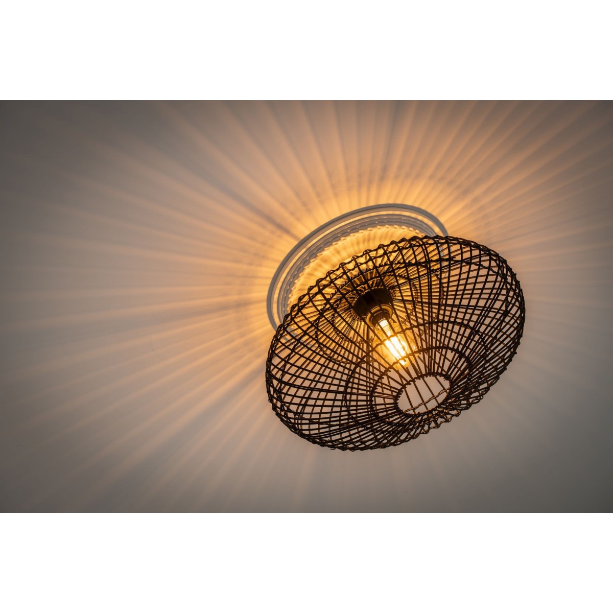 Lucide MAGALI 03135/56/30