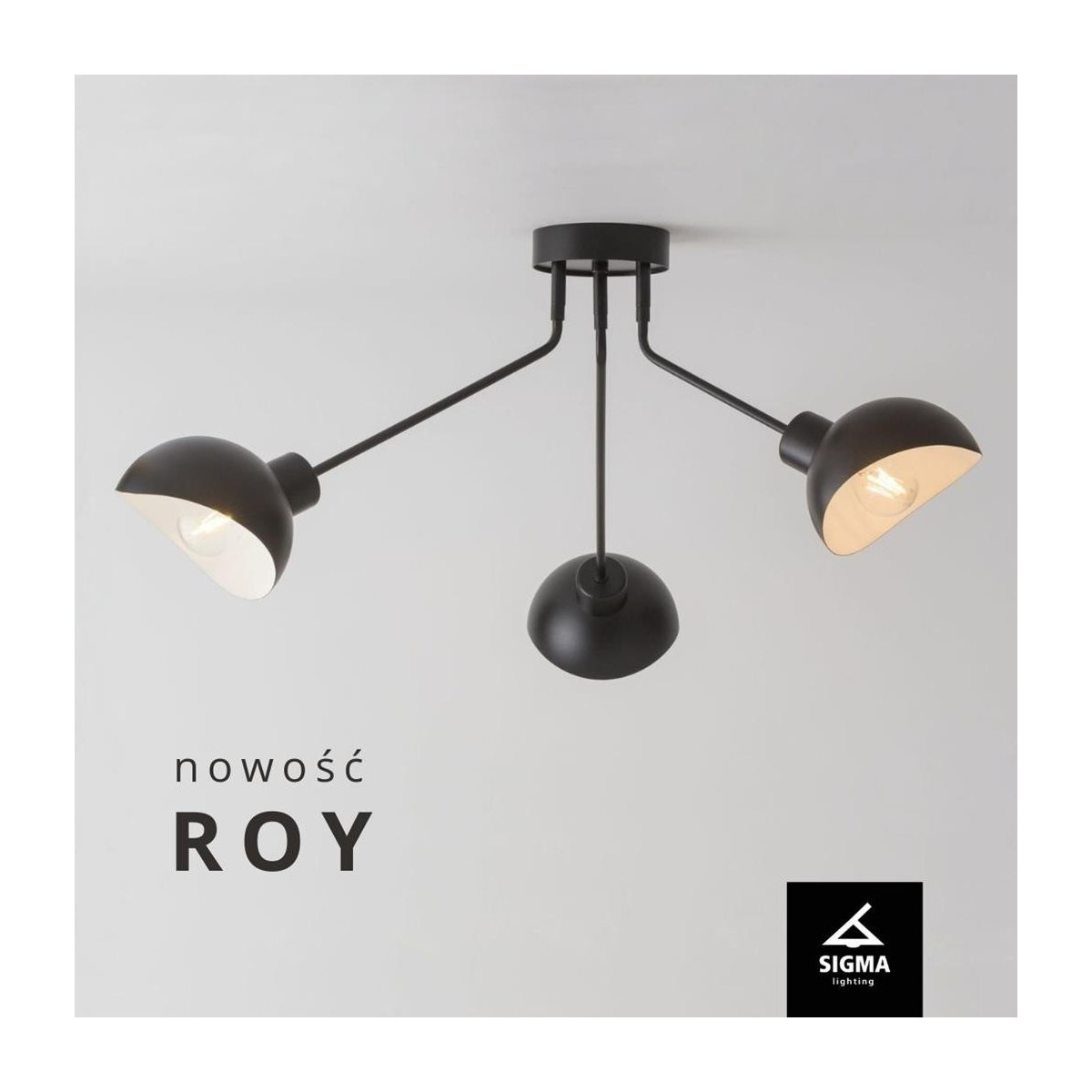 Sigma ROY SIG32431 plafon czarny_biały