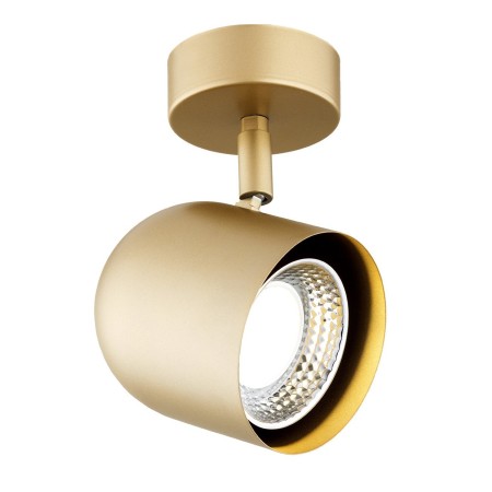 złota lampa Argon ISOLA 8260 kinkiet / plafon 1 pł.