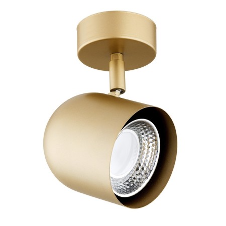 złota lampa Argon ISOLA 8260 kinkiet / plafon 1 pł.