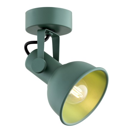 zielona lampa Argon LENORA 8299 kinkiet / plafon 1 pł.