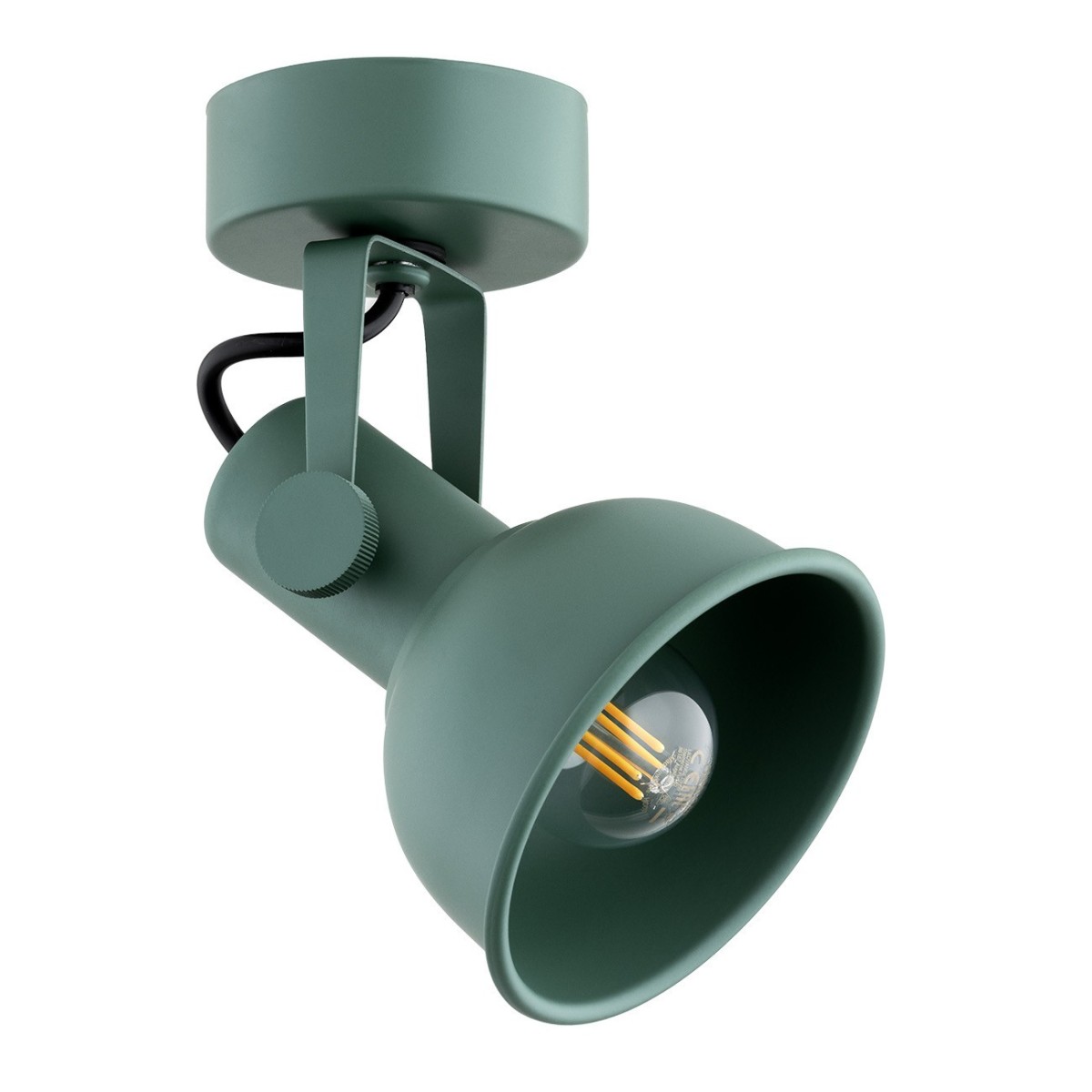 zielona lampa Argon LENORA 8299 kinkiet / plafon 1 pł.