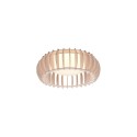 Nowoczesna lampa sufitowa RL MONTE R62171130